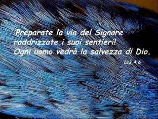 Preparate la via del Signore
raddrizzate i suoi sentieri!
Ogni uomo vedrà la salvezza di Dio.
                            Lc3,4,6
 