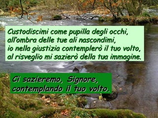 Custodiscimi come pupilla degli occhi,
all’ombra delle tue ali nascondimi,
io nella giustizia contemplerò il tuo volto,
al risveglio mi sazierò della tua immagine.

Ci sazieremo, Signore,
contemplando il tuo volto.

 