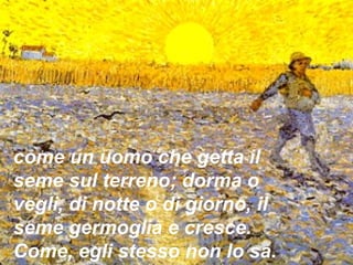 come un uomo che getta il
seme sul terreno; dorma o
vegli, di notte o di giorno, il
seme germoglia e cresce.
Come, egli stesso non lo sa.
 