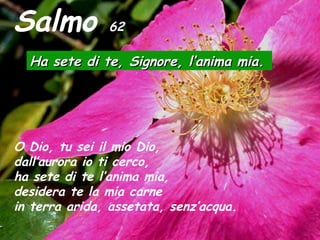 Salmo 62
Ha sete di te, Signore, l’anima mia.Ha sete di te, Signore, l’anima mia.
O Dio, tu sei il mio Dio,
dall’aurora io ti cerco,
ha sete di te l’anima mia,
desidera te la mia carne
in terra arida, assetata, senz’acqua.
 