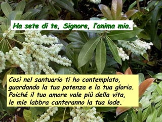 Ha sete di te, Signore, l’anima mia.Ha sete di te, Signore, l’anima mia.
Così nel santuario ti ho contemplato,
guardando la tua potenza e la tua gloria.
Poiché il tuo amore vale più della vita,
le mie labbra canteranno la tua lode.
 