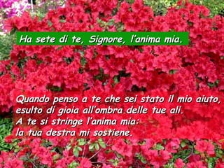 Ha sete di te, Signore, l’anima mia.Ha sete di te, Signore, l’anima mia.
Quando penso a te che sei stato il mio aiuto,Quando penso a te che sei stato il mio aiuto,
esulto di gioia all’ombra delle tue ali.esulto di gioia all’ombra delle tue ali.
A te si stringe l’anima mia:A te si stringe l’anima mia:
la tua destra mi sostiene.la tua destra mi sostiene.
 