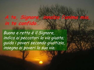 A te, Signore, innalzo l’anima mia,
in te confido.
Buono e retto è il Signore,
indica ai peccatori la via giusta;
guida i poveri secondo giustizia,
insegna ai poveri la sua via.
 