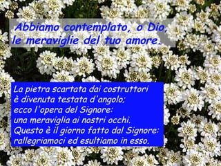 Abbiamo contemplato, o Dio,
le meraviglie del tuo amore.



La pietra scartata dai costruttori
è divenuta testata d'angolo;
ecco l'opera del Signore:
una meraviglia ai nostri occhi.
Questo è il giorno fatto dal Signore:
rallegriamoci ed esultiamo in esso.
 