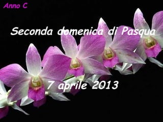Anno C


 Seconda domenica di Pasqua



         7 aprile 2013
 