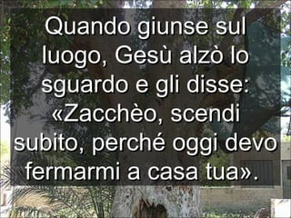 Quando giunse sul
luogo, Gesù alzò lo
sguardo e gli disse:
«Zacchèo, scendi
subito, perché oggi devo
fermarmi a casa tua».

 