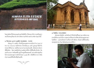 ๗. โคลัมโบ (COLOMBO)
ใหญ่ ขุดโดยน�ามือของมนุษย์ และวัดอัสคิรยา ทีพระอุบาลีจากกรุงศรีอยุธยา
             ้                         ิ ่
                                                                                   เมืองหลวงโคลัมโบ ชมวัดกัลยานี ซึ่งเป็นวัดที่ใหญ่ ชมภาพจิตรกรรม
เคยเป็นพระอุปัชฌาย์บวชชาวสิงหล จนเกิดนิกายสยามวงศ์มาจนทุกวันนี้
                                                                             ฝาผนังที่งดงามเล่าเรื่องราวพุทธประวัติและประวัติศาสตร์พระพุทธศาสนา
                                                                             ในศรีลังกา และชมวัดคงคารามที่งดงามด้านศิลปะ เป็นสถานที่ตั้งโรงเรียน
๖. ไร่ชาสวย- นูวารา เอลลิย่า (NUWARA - ELIYA)
                                                                             พระพุทธศาสนาวันอาทิตย์แห่งแรกของศรีลังกา
         เมืองนูวารา เอลลิย่า เป็นหัวใจของอุตสาหกรรมไร่ชา(The heart of
the tea industry) ชมไร่ชาสวย น�้าตกใส(๑๐๓ แห่ง) ภูเขาสูง ดื่มด�่ากับ
ธรรมชาติที่งดงาม จนได้ขนานนามว่ามรกตแห่งเอเชีย เยี่ยมโรงงานใบชา
ที่มีชื่อเสียง ชิมชารสเลิศในโรงงานผลิตชาศรีลังกาที่มีชื่อเสียงก้องโลก อิ่ม
เอมกับบรรยากาศอันสดชื่น ชมน�้าตกสูงที่ไหลตลอดปี งดงามเขียวชอุ่มด้วย
ไร่ชาบนยอดเขาสูงจากระดับน�้าทะเล ๖,๑๘๒ ฟิต เป็นที่พักตากอากาศอัน
สวยงามและมีชื่อเสียงที่สุดในเอเชีย

                                   76                                                                        77
 