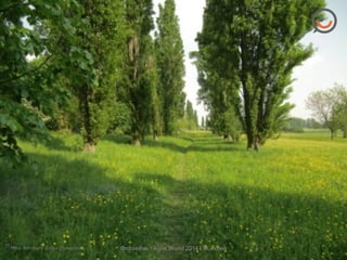 Foto:	
  Bernhard	
  Ducke	
  	
  /	
  pixelio.de	
   @rdraether | Agile World 2014 | München
 