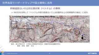 © 2019 NTT DATA Corporation 16
世界各国でハザードマップや国土開発に活用
 AW3Dを活用して「ベトナム中部の国道沿いで1,000箇所以上の危険箇所の抽出」に成功
提供：東北学院大学 大学院人間情報学研究科（教養学部地域構想学科）
教授 宮城 豊彦 先生
幹線道路沿いの土砂災害対策（ベトナム）の事例
 