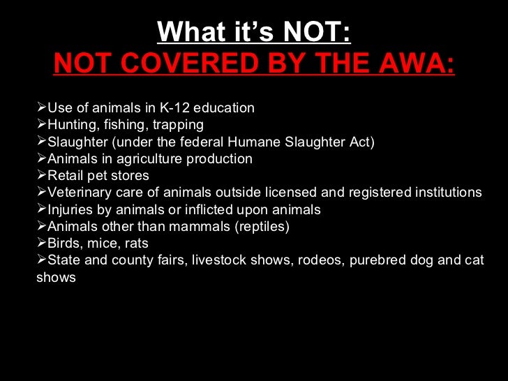 The Animal Welfare Act