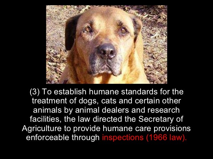 The Animal Welfare Act