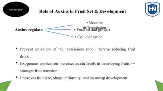 Mitigation of fruit drop in date palm by using auxins.pptx