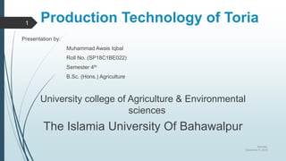 Production Technology of Toria
Presentation by:
Muhammad Awais Iqbal
Roll No. (SP18C1BE022)
Semester 4th
B.Sc. (Hons.) Agriculture
University college of Agriculture & Environmental
sciences
The Islamia University Of Bahawalpur
Monday,
December 9, 2019
1
 