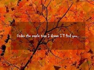 Under the maple tree I dream I’ll find you..