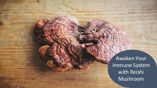Awaken Your
Immune System
with Reishi
Mushroom
 