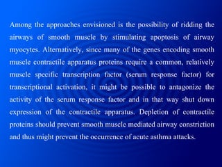 Among the approaches envisioned is the possibility of ridding the airways of smooth muscle by stimulating apoptosis of air...