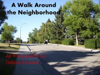 A Walk Around the Neighborhood 
All Photographs by: 
Debbie Elicksen  