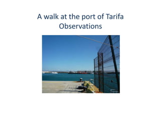 A walk at the port of Tarifa
Observations
 