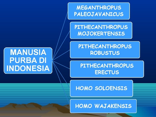 Awal kehidupan manusia purba presentasi