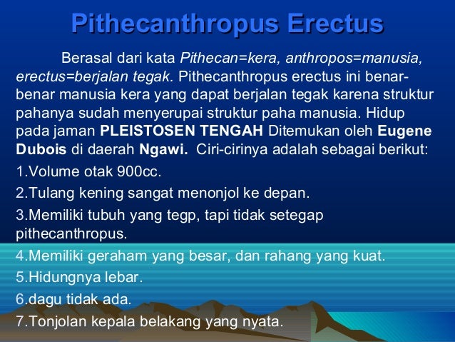 Awal kehidupan manusia purba presentasi