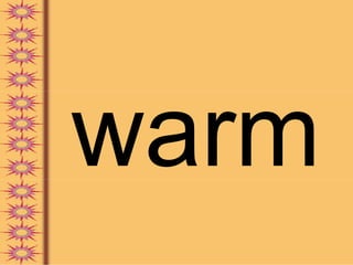 warm
 
