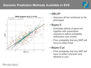 Genomic Prediction Methods Available in SVS
 GBLUP
- Assumes all loci contribute to the
phenotype
 Bayes C
- Estimates effects of gene loci
together with parameters
required to define probability
distribution over events
- Prior probability that any SNP will
have no effect fixed
 Bayes C-pi
- Prior probability that any SNP will
have no effect unknown and
allowed to vary
 