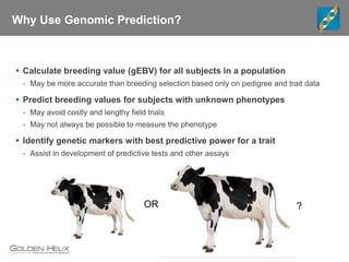 Why Use Genomic Prediction?
 Calculate breeding value (gEBV) for all subjects in a population
- May be more accurate than breeding selection based only on pedigree and trait data
 Predict breeding values for subjects with unknown phenotypes
- May avoid costly and lengthy field trials
- May not always be possible to measure the phenotype
 Identify genetic markers with best predictive power for a trait
- Assist in development of predictive tests and other assays
OR ?
 