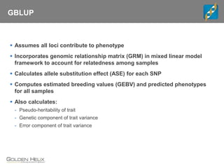 GBLUP
 Assumes all loci contribute to phenotype
 Incorporates genomic relationship matrix (GRM) in mixed linear model
framework to account for relatedness among samples
 Calculates allele substitution effect (ASE) for each SNP
 Computes estimated breeding values (GEBV) and predicted phenotypes
for all samples
 Also calculates:
- Pseudo-heritability of trait
- Genetic component of trait variance
- Error component of trait variance
 
