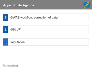 Approximate Agenda
GBLUP2
3 Imputation
1 GWAS workflow, correction of data
 