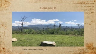 Genesis 30
Great Smoky Mountains, TN
 