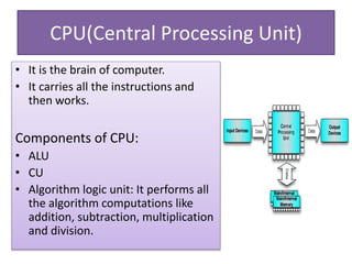 CPU(Central Processing Unit)
• It is the brain of computer.
• It carries all the instructions and
then works.
Components of CPU:
• ALU
• CU
• Algorithm logic unit: It performs all
the algorithm computations like
addition, subtraction, multiplication
and division.
 