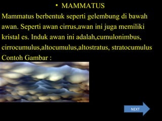 • MAMMATUS
Mammatus berbentuk seperti gelembung di bawah
awan. Seperti awan cirrus,awan ini juga memiliki
kristal es. Induk awan ini adalah,cumulonimbus,
cirrocumulus,altocumulus,altostratus, stratocumulus
Contoh Gambar :
NEXT
 