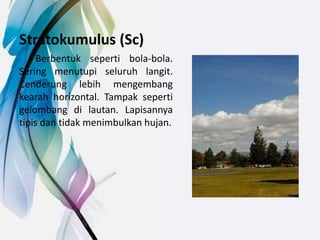 Stratokumulus (Sc)
Berbentuk seperti bola-bola.
Sering menutupi seluruh langit.
Cenderung lebih mengembang
kearah horizontal. Tampak seperti
gelombang di lautan. Lapisannya
tipis dan tidak menimbulkan hujan.
 
