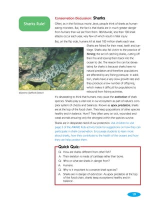Conservation Discussion:          Sharks
    Sharks Rule!           Often, as in the fictitious movie Jaws, people think of sharks as human-
                           eating monsters. But, the fact is that sharks are in much greater danger
                           from humans than we are from them. Worldwide, less than 100 shark
                           attacks occur each year, very few of which result in fatal injury.
                           But, on the flip side, humans kill at least 100 million sharks each year.
                                                       Sharks are fished for their meat, teeth and car-
                                                       tilage. Sharks also fall victim to the practice of
                                                       finning, the act of catching sharks, cutting off
                                                       their fins and tossing them back into the
                                                       ocean to die. The reason this can be devas-
                                                       tating for sharks is because sharks have no
                                                       natural predators and therefore populations
                                                       are affected by any fishing pressure. In addi-
                                                       tion, sharks have a very slow growth rate and
                                                       they produce a low number of offspring,
                                                       which makes it difficult for populations to
©Jeremy Stafford-Dietsch                               rebound from fishing activities.
                           It’s devastating to think that humans may cause the extinction of shark
                           species. Sharks play a vital role in our ecosystem as part of nature’s com-
                           plex system of checks and balances. Known as apex predators, sharks
                           are at the top of the food chain. They keep populations of other species
                           healthy and in balance. How? They often prey on sick, wounded and
                           weak animals ensuring only the strongest within the species survive.
                           Sharks are in desperate need of our protection. Ask children to visit
                           page 3 of the AWARE Kids activity book for suggestions on how they can
                           participate in shark conservation. Encourage students to learn more
                           about sharks, how they contribute to the health of the oceans and how
                           they can help protect them.

                              Quick Quiz:
                              Q: How are sharks different from other fish?
                              A: Their skeleton is made of cartilage rather than bone.
                              Q: Who or what are sharks in danger from?
                              A: Humans.
                              Q: Why is it important to conserve shark species?
                              A: Sharks are in danger of extinction. As apex predators at the top
                                 of the food chain, sharks keep ecosystems healthy and in
                                 balance.



                                                                                                 19
 