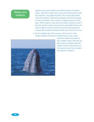 plankton and a small number to be different species of toothed
Whales and     whales. Have them create a sign to wear around their neck for what
 Dolphins      they represent, using paper and string. On an open playing field,
               instruct the whales to chase the sea creatures and the sea creatures
               to chase the plankton. Once a person is tagged, they’re out of the
               game. After the game is over, discuss the results. Did they survive? If
               they did, did they capture enough food to stay healthy? Discuss the
               kinds of defense mechanisms the prey used for staying alive and
               compare that to defense mechanisms that may be used in the wild.
             • Post an enlarged map of the country in which you live. Have
               students research the species of whales found in your country.
                                              Have them research the details of
                                              their migration routes. Have each stu-
                                              dent or team of students draw the
                                              migration route for their species on
                                              the classroom map. Discuss reasons
                                              and seasons of migration.




30
 