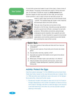 If a sea turtle survives and makes its way to the ocean, it faces a host of
                              other dangers. Thousands of sea turtles are caught in fishing nets each
     Sea Turtles              year. An estimated 150,000 are caught by shrimp trawlers alone.
                              Poachers illegally kill adult sea turtles for their meat, skin and shells.
                              Ocean pollution is also a major concern for sea turtle survival. For
                                               instance, plastic bags look like one of their favorite foods
                                               – jellyfish. The ingested bags get caught in their intestines
                                               and eventually lead to the turtle’s demise.
                                             There are many things that can be done to help.
                                             Education is the first step. Educating younger generations
                                             as well as government officials is necessary for sea turtle
                                             protection. Writing letters and articles urging stronger
                                             endangered species legislation also supports sea turtle
                                             conservation. It’s also important to support environmental
                                             organizations and scientists protecting sea turtle habitat
Photo Courtesy of Liz Luack                  and unlocking the clues to their survival.

                                 Quick Quiz:
                                 Q: How many species of sea turtles are there and how many are
                                    endangered?
                                 A: There are seven species of sea turtles and all seven are endan-
                                    gered.
                                 Q: Are sea turtles mammals, reptiles or fish?
                                 A: Sea turtles are reptiles that breathe air and spend time above
                                    and below water.
                                 Q: What types of threats might a sea turtle face in its lifetime?
                                 A: Natural predators like sea birds and raccoons, storms and
                                    hurricanes, coastal development, poachers, pollution and
                                    fishing nets.


                              Activity: Protect the Eggs
                              Have the students read page 11 of the AWARE Kids activity book titled,
                              Totally Sea Turtles. Explain to the class that sea turtles are in danger. Only
                              1 in 1000 sea turtles reach adulthood. Lead a discussion on the dangers
                              facing sea turtles: natural and human causes.
                              1. Provide each student with paper to draw and cut out 4 to 6 sea tur-
                                 tle eggs (depending on the number of students) so that you end up
                                 with a total of 100 eggs. Ask them to draw the egg on one side and
                                 a sea turtle hatchling on the other. You can also provide a sample
                                 drawing on the board.


     32
 