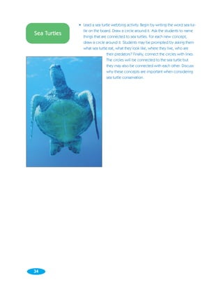 • Lead a sea turtle webbing activity. Begin by writing the word sea tur-
                tle on the board. Draw a circle around it. Ask the students to name
Sea Turtles     things that are connected to sea turtles. For each new concept,
                draw a circle around it. Students may be prompted by asking them
                what sea turtle eat, what they look like, where they live, who are
                               their predators? Finally, connect the circles with lines.
                               The circles will be connected to the sea turtle but
                               they may also be connected with each other. Discuss
                               why these concepts are important when considering
                               sea turtle conservation.




34
 