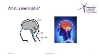 What is meningitis?
25/04/2023 www.meningitis.org 2
 