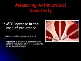 Awareness of antibiotics | PPT
