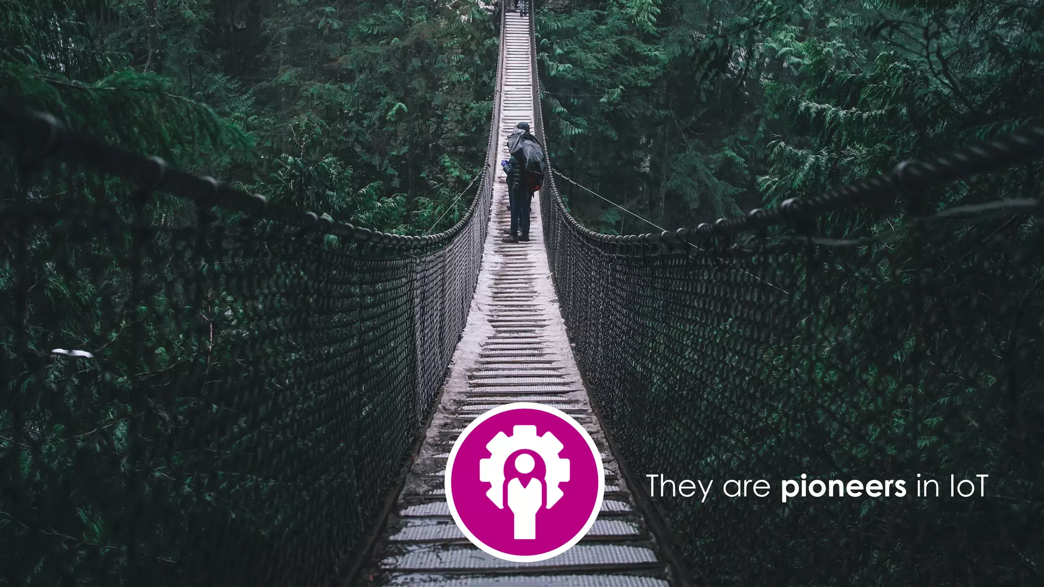 favoriot
They are pioneers in IoT
 