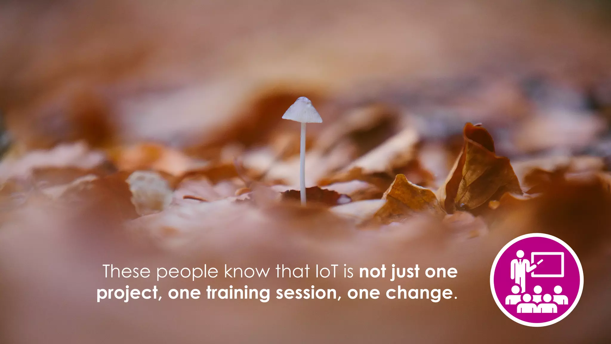 favoriot
These people know that IoT is not just one
project, one training session, one change.
 