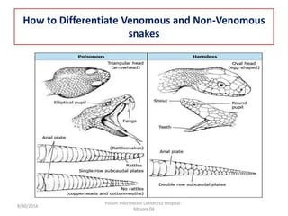 How to Differentiate Venomous and Non-Venomous
snakes
8/30/2016
Poison Information Center,JSS Hospital -
Mysore 04
 