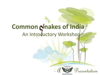 Common nakes of India
An Introcuctory Workshop
Presentation- A
 