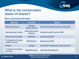 What is the conservation
status of sharks?
 More alarming estimates:
More alarming estimates
AWARE Shark Conservation Diver
Distinctive Specialty Course
11
S1: Sharks in Peril
Species Location Status
Sharks and rays
Pelagic
(open ocean)
One third threatened with extinction
Hammerhead sharks
NW & W Central
Atlantic
Declined by 89% since 1986
Great hammerheads E Atlantic Declined by 80%
Porbeagle and spiny
dogfish sharks
NW Atlantic Reduced by 90%
Sharks Europe One third Threatened with extinction
14 species of sharks
and rays
Mediterranean Critically Endangered
 
