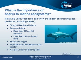 What is the importance of
sharks to marine ecosystems?
 Study at NW Hawaii Islands
 Apex predators:
 More than 50% of fish
biomass
 Less than 10% on fished
reefs
 Sharks are bigger
 Populations of all species are far
greater
 A larger variety of other species
Relatively untouched reefs can show the impact of removing apex
predators (including sharks)
AWARE Shark Conservation Diver
Distinctive Specialty Course
17
S1: Sharks in Peril
Continued . . .
 