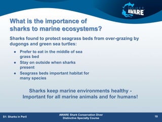 What is the importance of
sharks to marine ecosystems?
 Prefer to eat in the middle of sea
grass bed
 Stay on outside when sharks
present
 Seagrass beds important habitat for
many species
Sharks found to protect seagrass beds from over-grazing by
dugongs and green sea turtles:
AWARE Shark Conservation Diver
Distinctive Specialty Course
18
S1: Sharks in Peril
Sharks keep marine environments healthy -
Important for all marine animals and for humans!
 