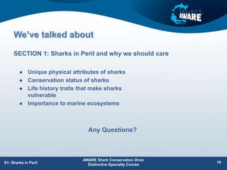 We’ve talked about
 Unique physical attributes of sharks
 Conservation status of sharks
 Life history traits that make sharks
vulnerable
 Importance to marine ecosystems
SECTION 1: Sharks in Peril and why we should care
AWARE Shark Conservation Diver
Distinctive Specialty Course
19
S1: Sharks in Peril
Any Questions?
 