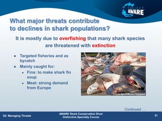 What major threats contribute
to declines in shark populations?
 Targeted fisheries and as
bycatch
 Mainly caught for:
 Fins: to make shark fin
soup
 Meat: strong demand
from Europe
It is mostly due to overfishing that many shark species
are threatened with extinction
AWARE Shark Conservation Diver
Distinctive Specialty Course
21
S2: Managing Threats
Continued . . .
 