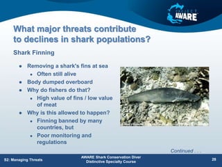 What major threats contribute
to declines in shark populations?
 Removing a shark's fins at sea
 Often still alive
 Body dumped overboard
 Why do fishers do that?
 High value of fins / low value
of meat
 Why is this allowed to happen?
 Finning banned by many
countries, but
 Poor monitoring and
regulations
Shark Finning
AWARE Shark Conservation Diver
Distinctive Specialty Course
28
S2: Managing Threats
Continued . . .
 