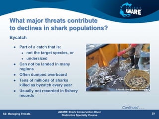 What major threats contribute
to declines in shark populations?
 Part of a catch that is:
 not the target species, or
 undersized
 Can not be landed in many
regions
 Often dumped overboard
 Tens of millions of sharks
killed as bycatch every year
 Usually not recorded in fishery
records
Bycatch
AWARE Shark Conservation Diver
Distinctive Specialty Course
29
S2: Managing Threats
Continued . . .
 